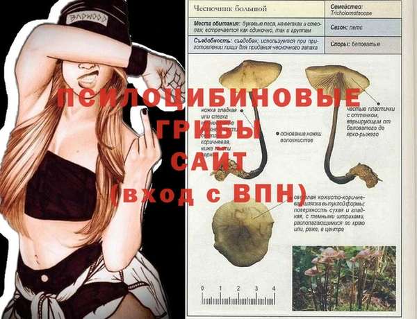 MDMA Абинск
