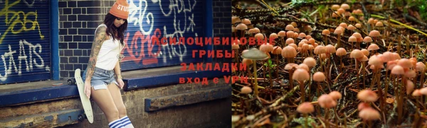 а пвп мука Абаза