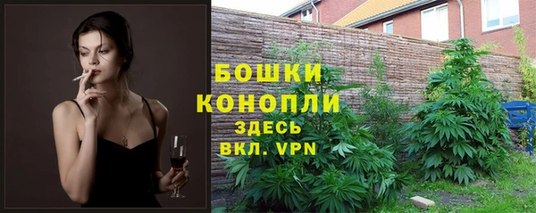 а пвп мука Абаза