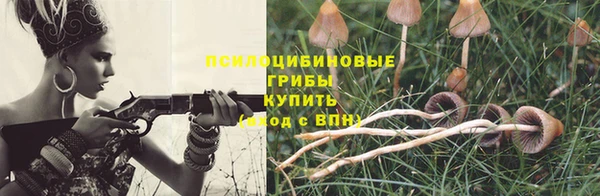 а пвп мука Абаза
